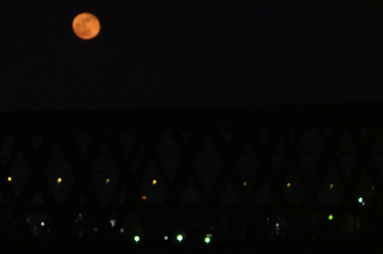 20120507_002.jpg