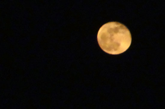 20120507_003.jpg