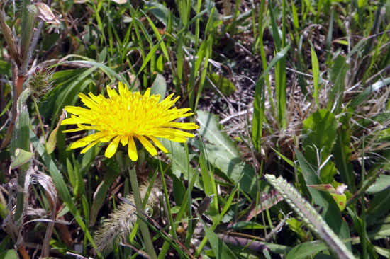 20121020_004.jpg