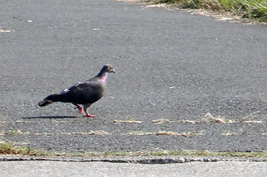 20121020_005.jpg