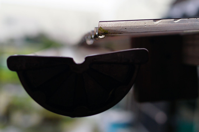 20121231_002.jpg