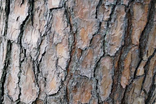 20130322_002.jpg