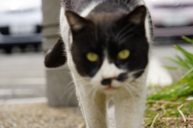 20130323_001.jpg