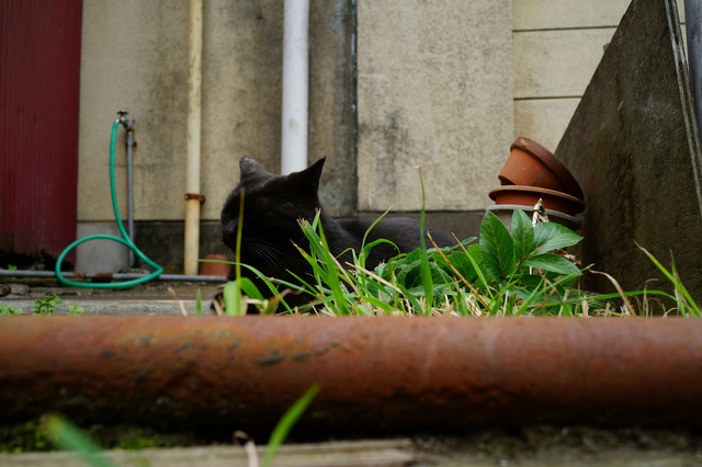 20130323_004.jpg