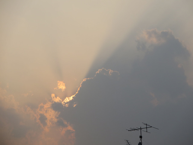 20130810_001.jpg