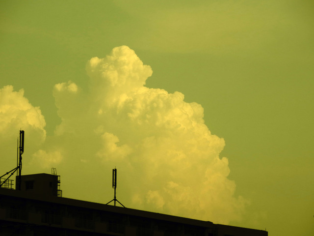 20130811_001.jpg