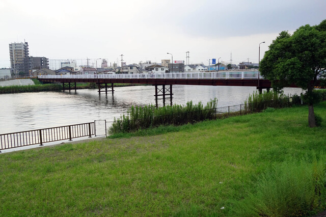 20130907_009.jpg