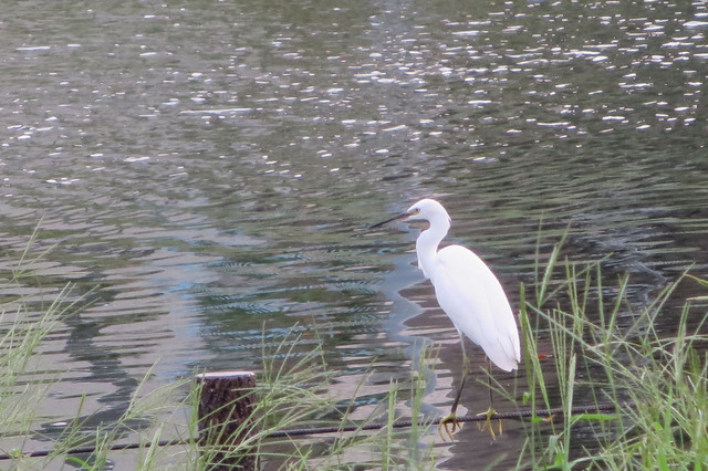 20130914_001.jpg