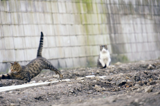 20131102_005.jpg