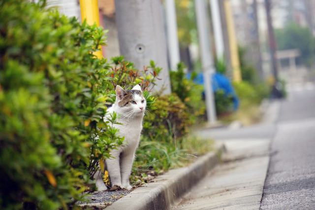 20131103_001.jpg