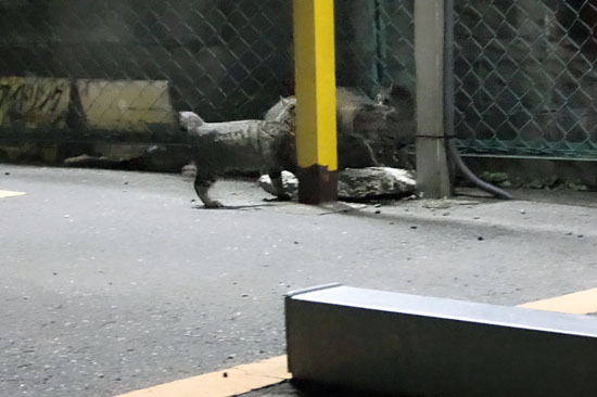 20131105_005.jpg