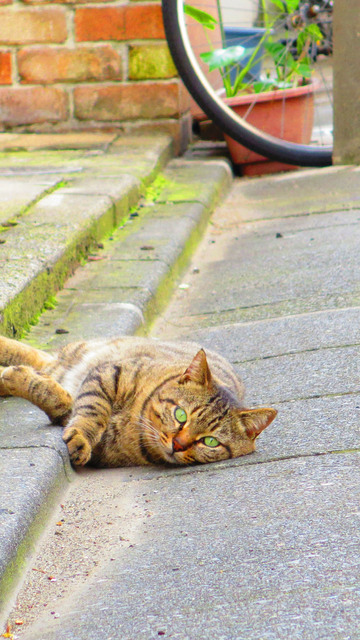 20131110_002.jpg