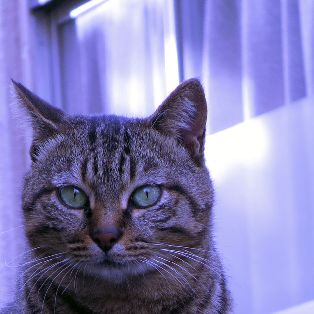 20131110_003.jpg