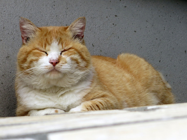 20131110_006.jpg