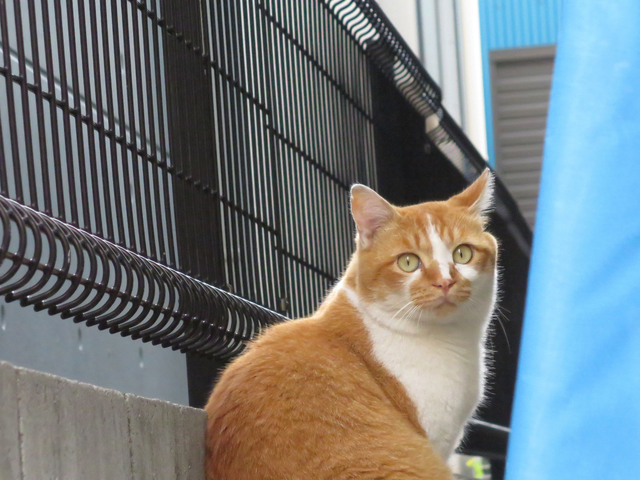 20131110_007.jpg