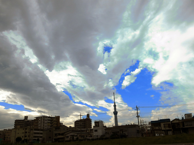 20131110_010.jpg