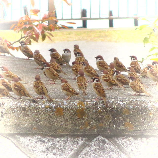 20131110_011.jpg