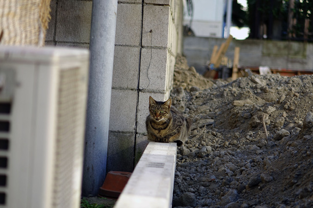 20131123_002.jpg