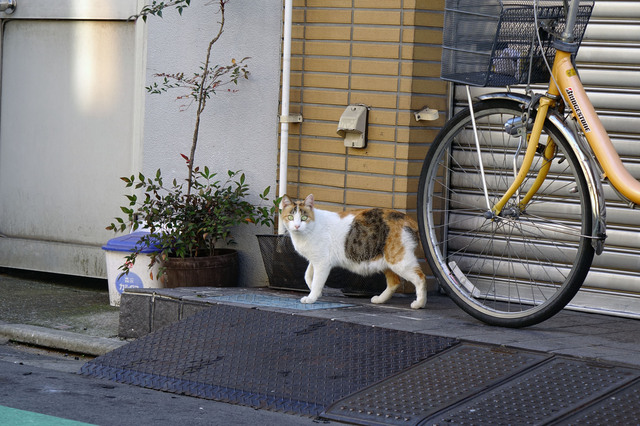 20131123_003.jpg