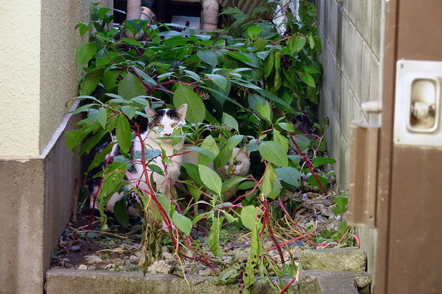 20131123_004.jpg