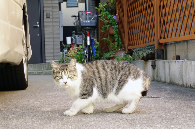 20131123_005.jpg