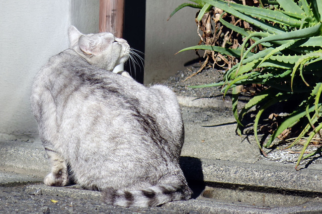 20131123_008.jpg