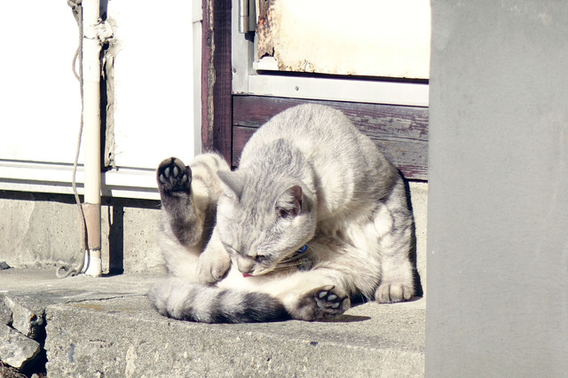 20131123_009.jpg