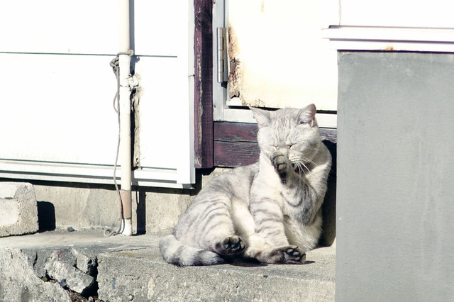 20131123_011.jpg