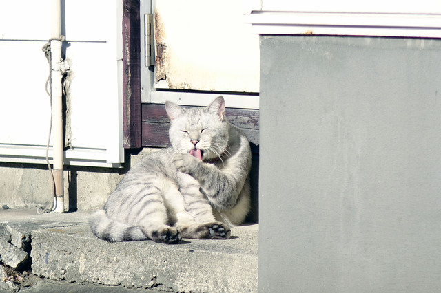 20131123_012.jpg