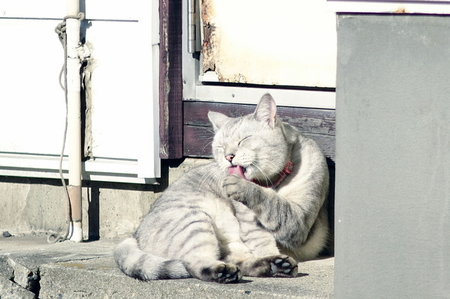 20131123_013.jpg
