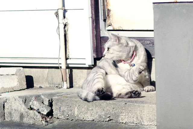 20131123_014.jpg