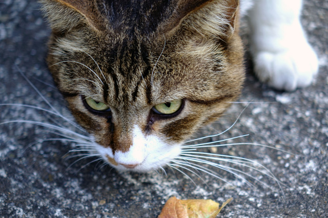 20131124_002.jpg