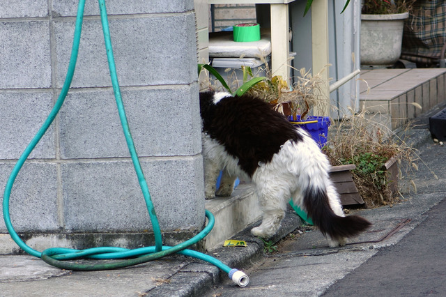 20131124_003.jpg
