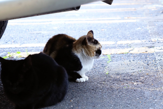 20131124_007.jpg