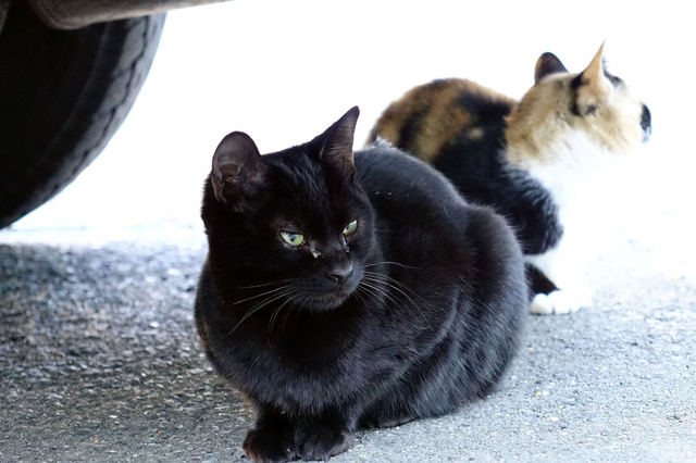 20131124_008.jpg