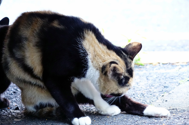 20131124_009.jpg