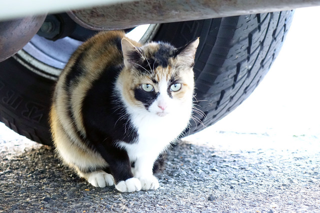 20131124_014.jpg