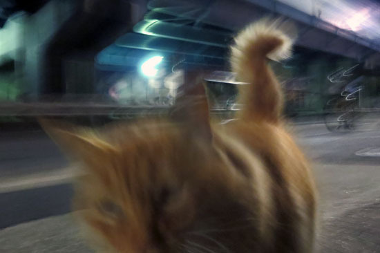 20131217_002.jpg