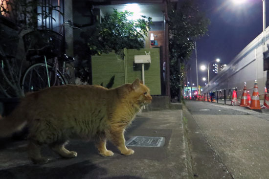 20131217_005.jpg