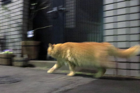 20131217_006.jpg