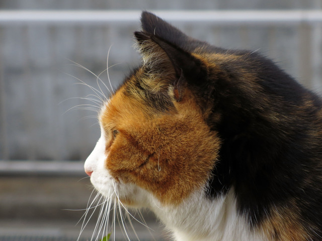 20140118_002.jpg