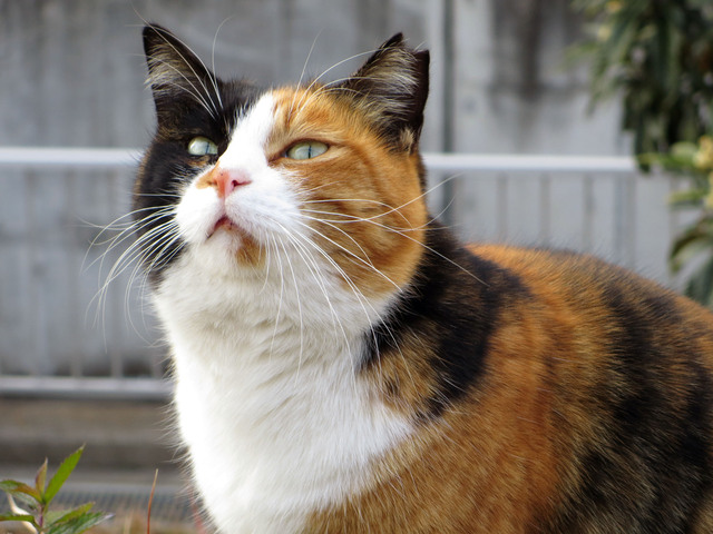 20140118_003.jpg