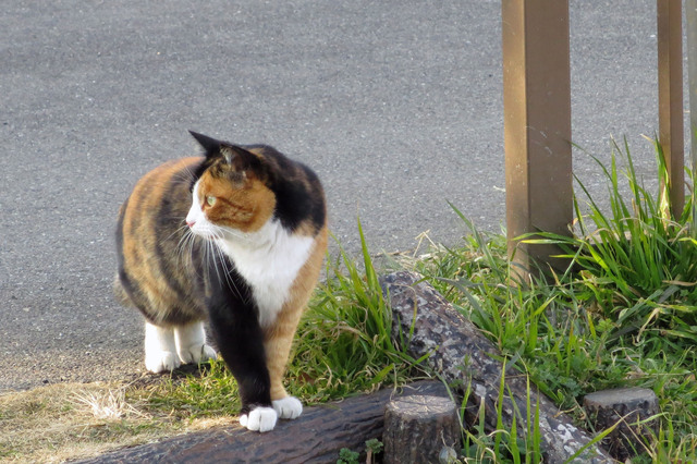 20140118_005.jpg