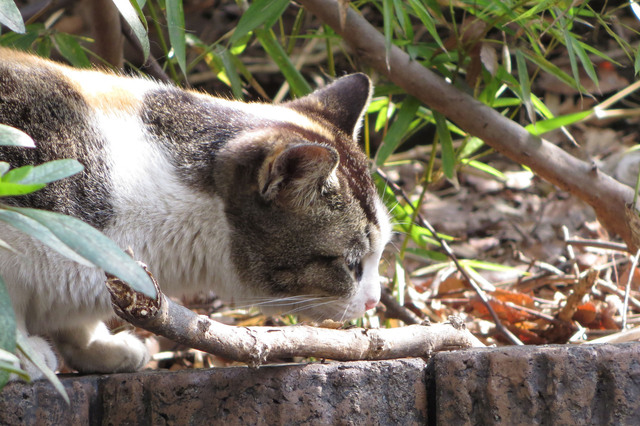 20140312_001.jpg