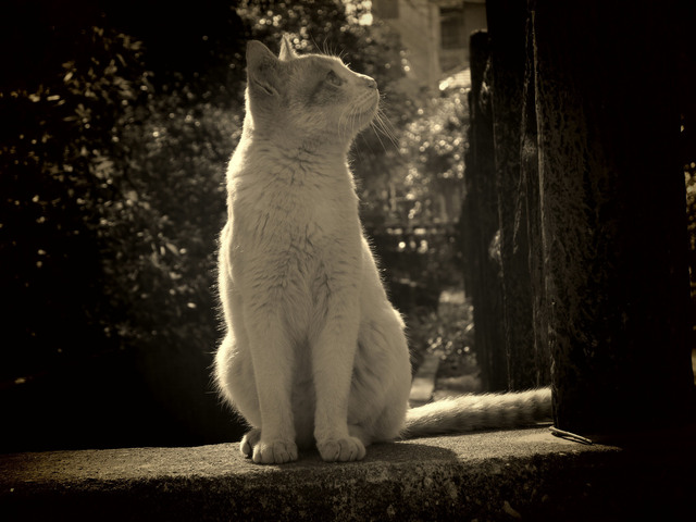 20140324_001.jpg