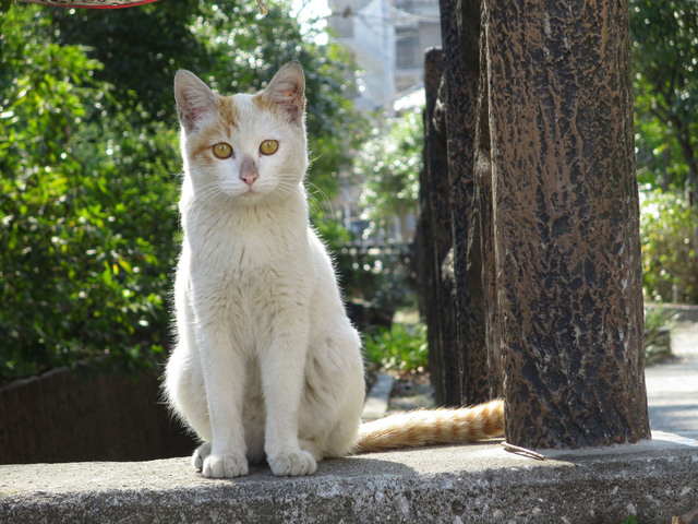 20140324_002.jpg