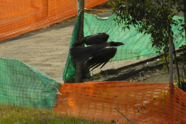 20140329_002.jpg
