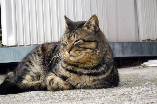 20140329_004.jpg