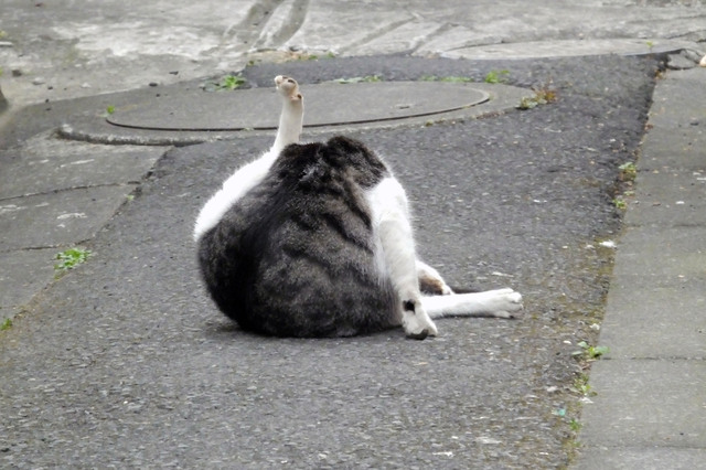 20140329_005.jpg
