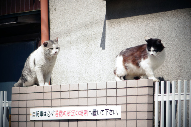 20140406_001.jpg